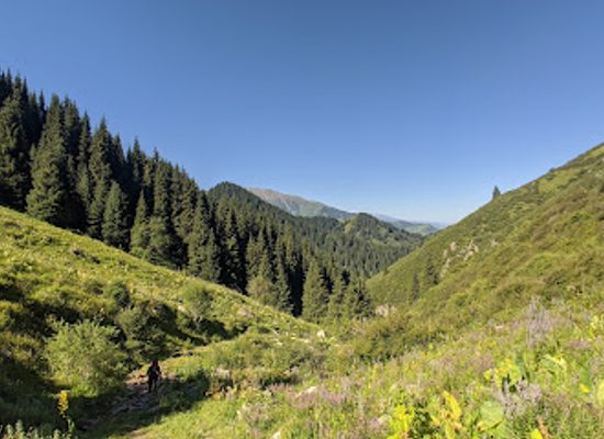 kazakhstan/almaty-mountains/attraction/butakovskoye-ushchel-ye