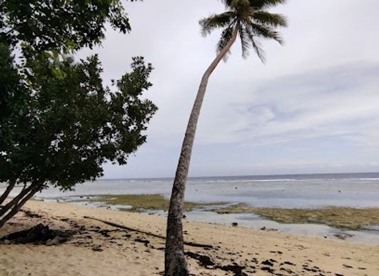 solomon-islands/auki/attraction/osi-beach-side