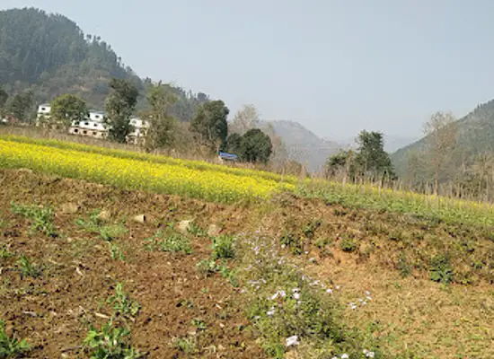 nepal/kathmandu-valley/attraction/ratna-park