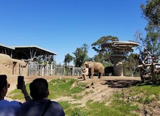 mexico/tijuana/attraction/san-diego-zoo