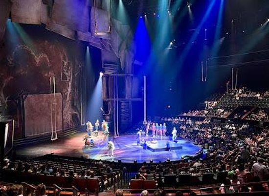 florida/greater-orlando/attraction/drawn-to-life-presented-by-cirque-du-soleil-disney