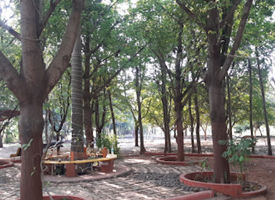 india/nashik/college-road/attraction/floral-sojourn