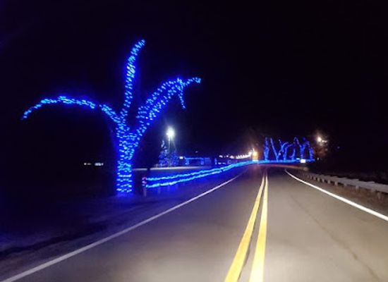 west-virginia/wheeling/attraction/oglebay-winter-festival-of-lights