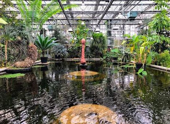 belgium/bruges-coast/attraction/universiteit-gent-botanical-garden