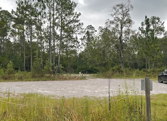 alabama/tombigbee-river/attraction/splinter-hill-bog-preserve