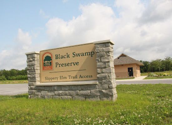 ohio/great-black-swamp/attraction/black-swamp-preserve