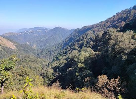 india/north-india/attraction/benog-wildlife-sanctuary