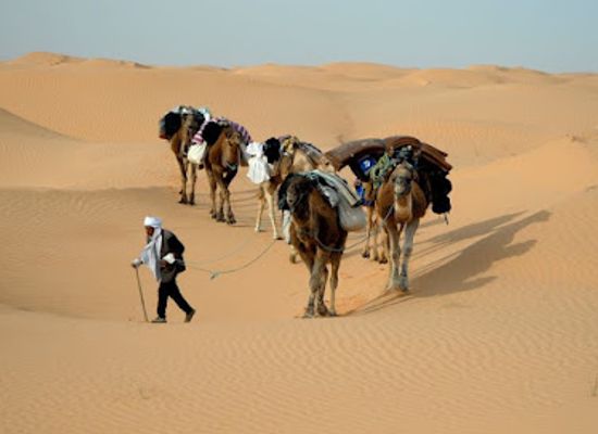 tunisia/tunisian-sahara/attraction/sahara-desert-tunisia