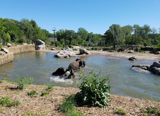 nebraska/pine-ridge/attraction/omaha-s-henry-doorly-zoo-and-aquarium