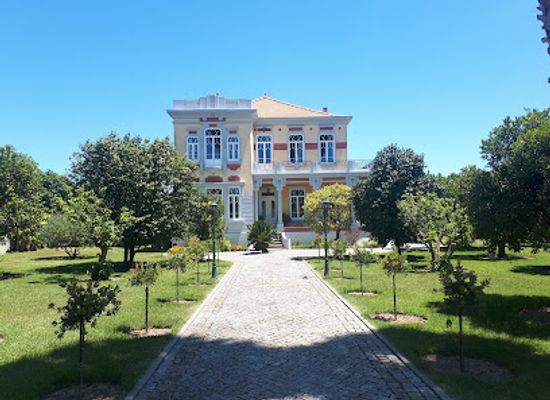portugal/minho/attraction/alianca-underground-museum