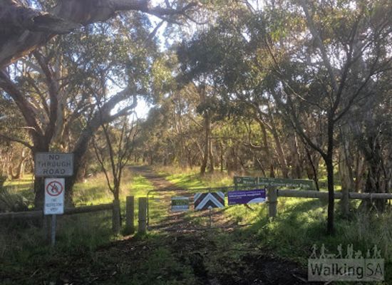 australia/fleurieu-peninsula/attraction/nixon-skinner-conservation-park