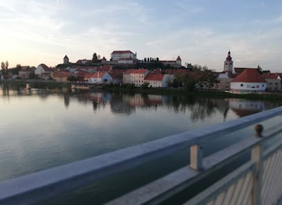 slovenia/ptuj/attraction/mestni-park