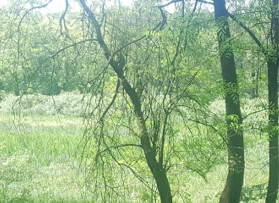 romania/giurgiu/attraction/fantana