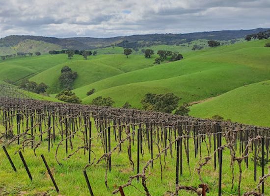 australia/barossa-valley/attraction/steingarten-lookout