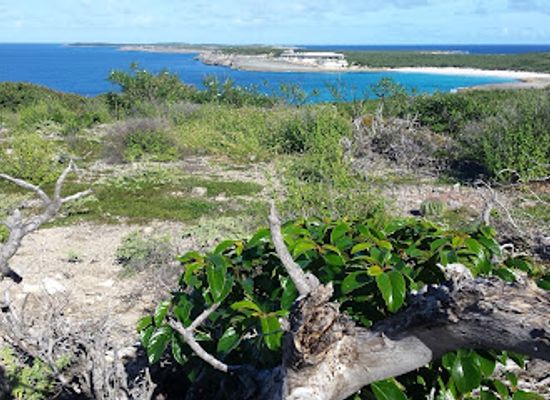 anguilla/cap-juluca/attraction/captain-s-bay