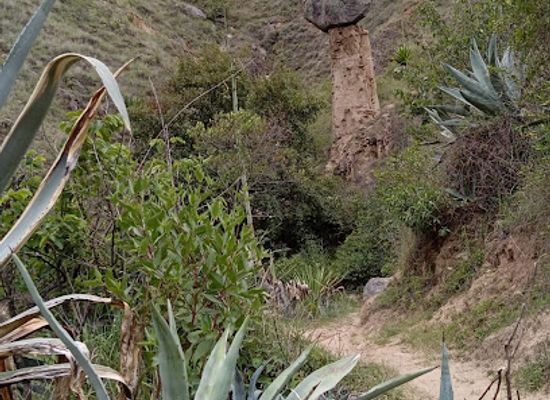 peru/huanuco/attraction/area-turistica-puihuan-de-yanayacu