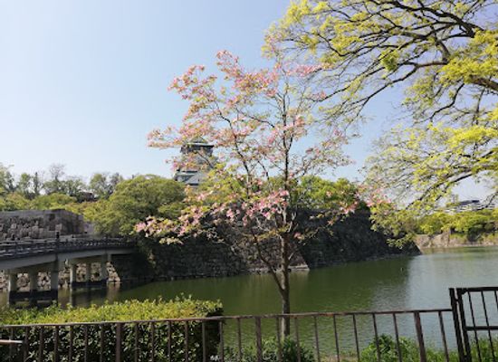 japan/settsu/attraction/forest-of-memorial-trees