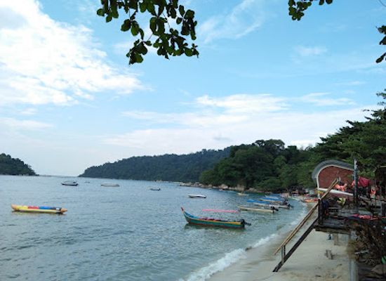 malaysia/pulau-pangkor/attraction/hornbill-feeding