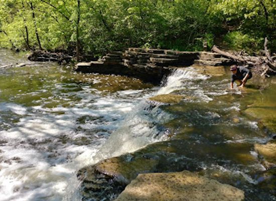 illinois/chicagoland/attraction/waterfall-glen-forest-preserve