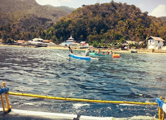 indonesia/gorontalo/attraction/wisata-hiu-paus-botubarani