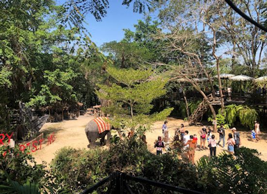 thailand/pattaya/attraction/pattaya-elephant-village