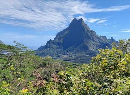french-polynesia/moorea/attraction/mont-rotui
