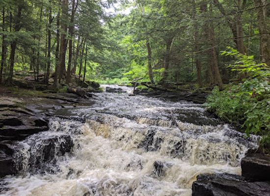 pennsylvania/pocono-mountains/attraction/promised-land-state-park