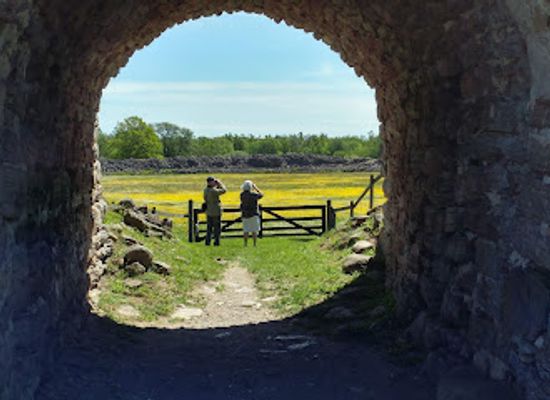 sweden/oland/attraction/graborg