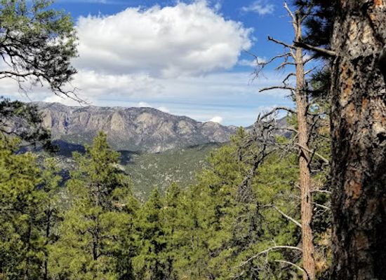 new-mexico/sandia-peak-tramway/attraction/sandia-mountain-wilderness