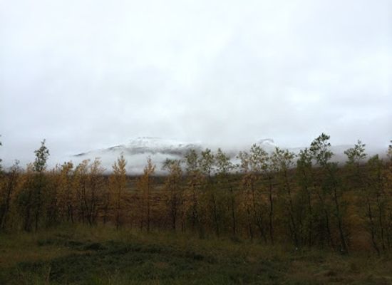 iceland/langjökull-glacier/attraction/haukadalsskogur-woods