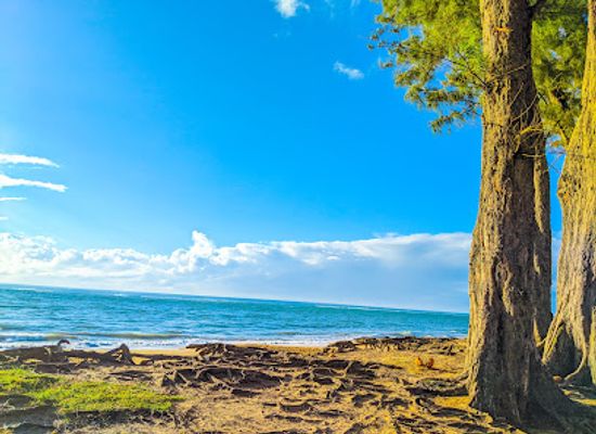 madagascar/manakara/attraction/plage-manakara