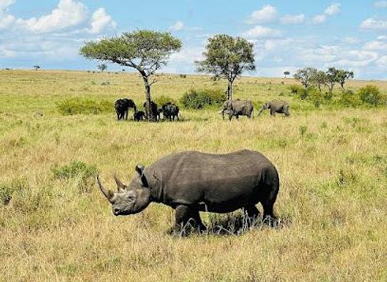 kenya/nairobi/attraction/african-home-adventure-safaris