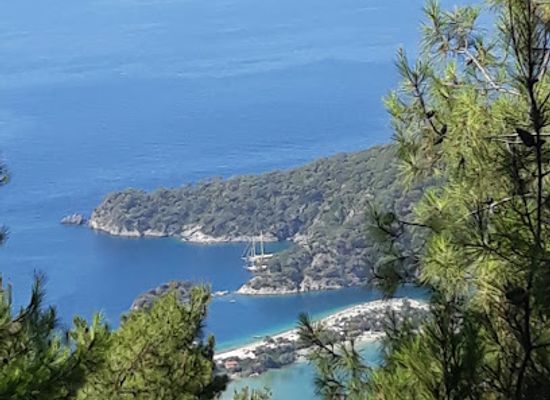 turkiye/oludeniz/attraction/family-horse-farm