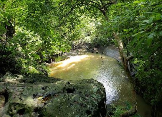 el-salvador/eastern-region/attraction/cinquera-forest-ecological-park