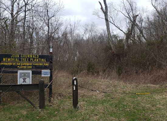indiana/yellowwood-state-forest/attraction/john-grunwald-tree-planting-and-trailhead