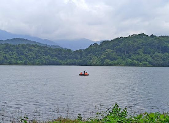 india/kerala-backwaters/attraction/chimmini-wildlife-sanctuary