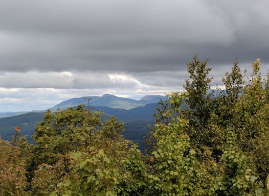 vermont/green-mountains-national-forest/attraction/aitken-state-forest