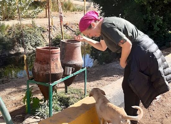 egypt/aswan/attraction/public-water-point