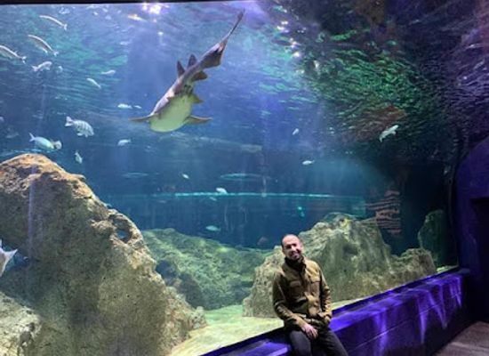 mexico/los-altos-de-jalisco/attraction/acuario-michin-guadalajara
