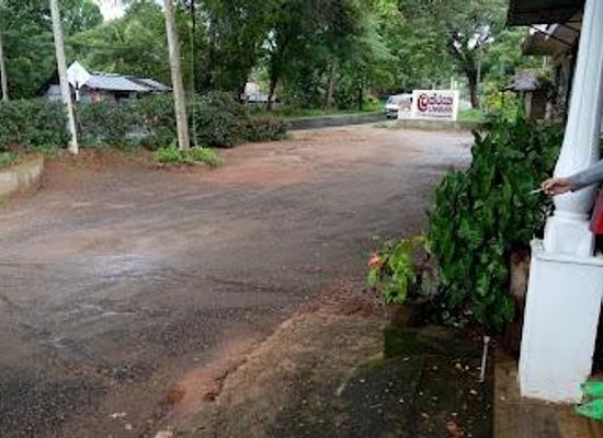sri-lanka/matale-district/attraction/ruksala-wood-carving