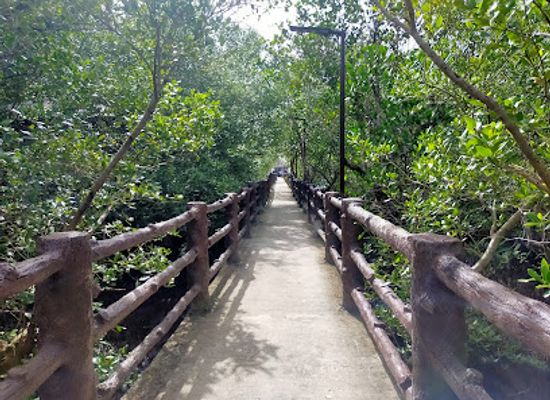philippines/eastern-visayas/attraction/sybreeze-natures-resort