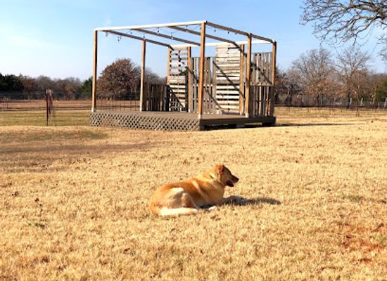 oklahoma/cross-timbers/attraction/native-spirits-winery