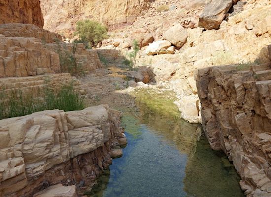 jordan/ma-in-hot-springs/attraction/wadi-himara