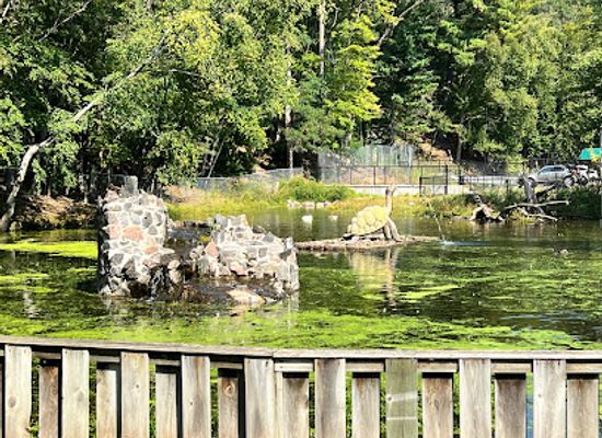 wisconsin/chippewa-valley/attraction/irvine-park-zoo