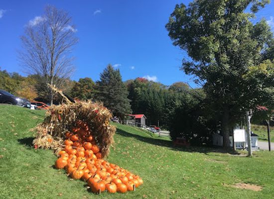 vermont/montpelier/attraction/morse-farm-maple-sugarworks