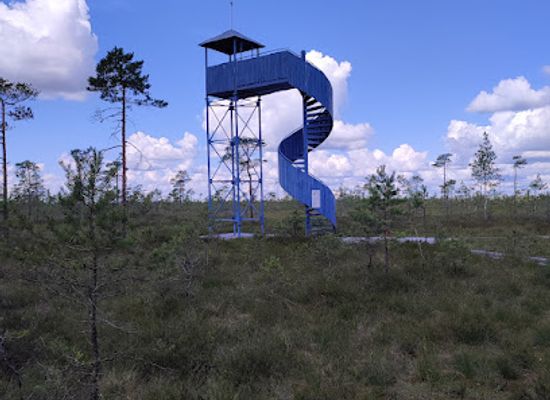 estonia/jarvamaa/attraction/kuresoo-vaatetorn
