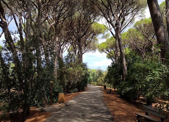 france/french-riviera/attraction/botanical-garden