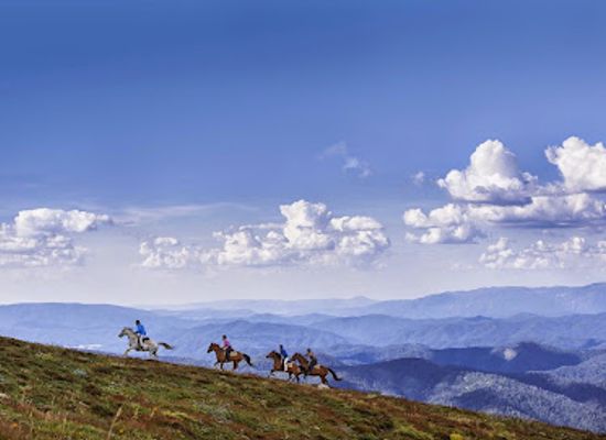 australia/high-country/attraction/watsons-mountain-country-trail-rides