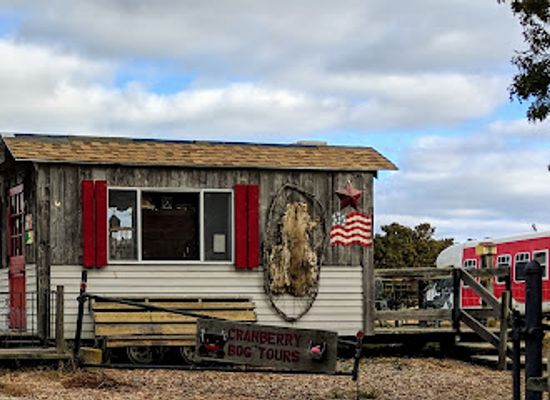 massachusetts/cape-cod/attraction/cranberry-bog-tours