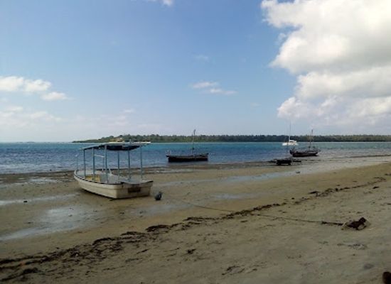 tanzania/coastal-zone/attraction/mafia-island